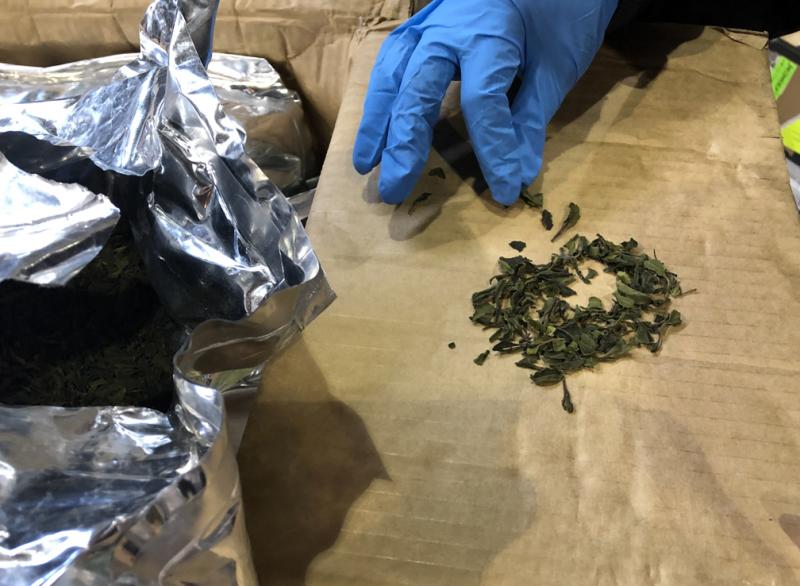 Dulles Cbp Seizes Nearly 269 Pounds Of Khat In Air Cargo From Nigeria